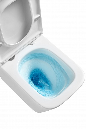 Подвесной унитаз безободковый Terminus Ватикан Monolit 490х340 белый Ялта - фото 8 Подвесной унитаз безободковый Terminus Ватикан Monolit 490х340 белый Ялта - фото 8