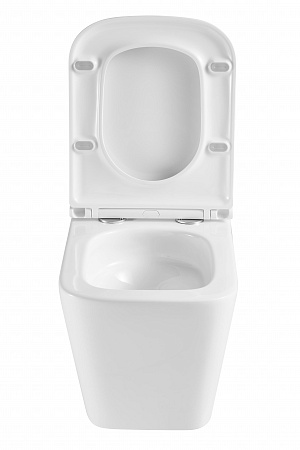 Подвесной унитаз безободковый Terminus Ватикан Monolit 490х340 белый Ялта - фото 7 Подвесной унитаз безободковый Terminus Ватикан Monolit 490х340 белый Ялта - фото 7