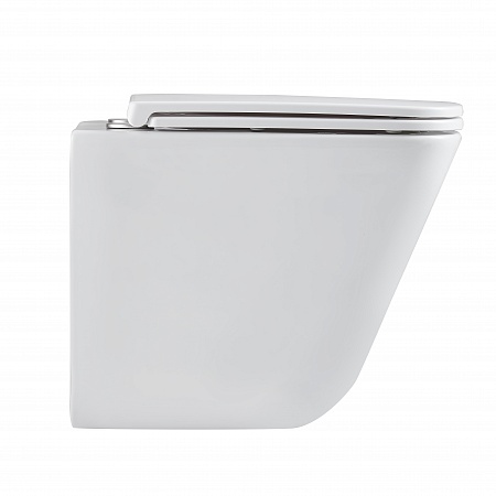 Подвесной унитаз безободковый Terminus Ватикан Monolit 490х340 белый Ялта - фото 4 Подвесной унитаз безободковый Terminus Ватикан Monolit 490х340 белый Ялта - фото 4