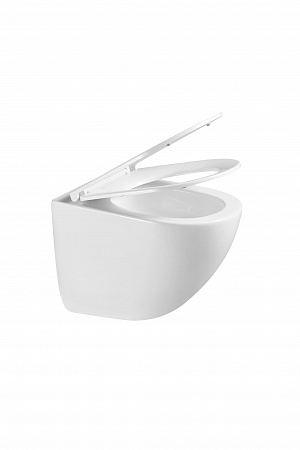 Подвесной унитаз безободковый Terminus Аврора Monolit 495х360 белый Ялта - фото 8 Подвесной унитаз безободковый Terminus Аврора Monolit 495х360 белый Ялта - фото 8