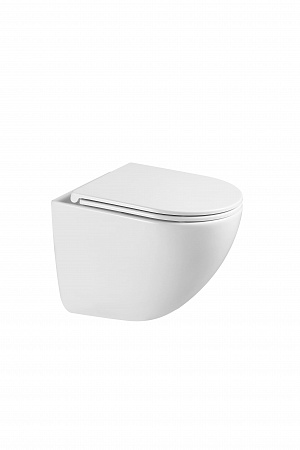 Подвесной унитаз безободковый Terminus Аврора Monolit 495х360 белый Ялта - фото 4 Подвесной унитаз безободковый Terminus Аврора Monolit 495х360 белый Ялта - фото 4