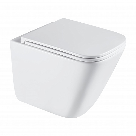 Подвесной унитаз безободковый Terminus Ватикан Monolit 490х340 белый Ялта - фото 2 Подвесной унитаз безободковый Terminus Ватикан Monolit 490х340 белый Ялта - фото 2