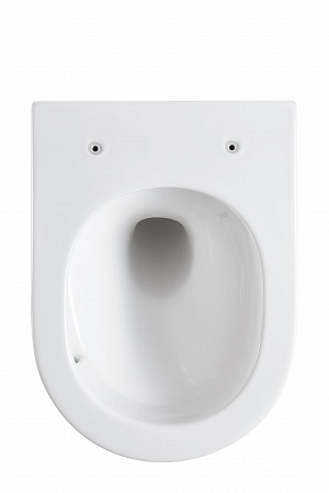 Подвесной унитаз безободковый Terminus Аврора Monolit 495х360 белый Ялта - фото 5 Подвесной унитаз безободковый Terminus Аврора Monolit 495х360 белый Ялта - фото 5