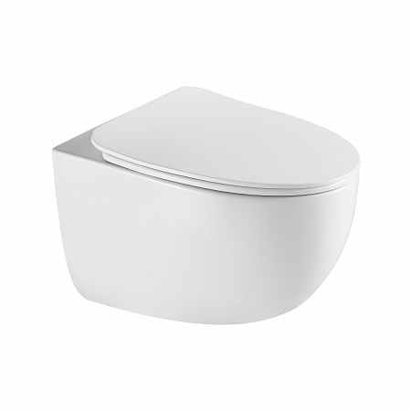 Подвесной унитаз безободковый Terminus Енисей Monolit 560х390 белый Ялта - фото 2 Подвесной унитаз безободковый Terminus Енисей Monolit 560х390 белый Ялта - фото 2