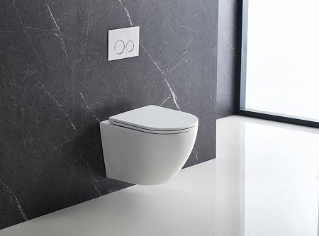 Подвесной унитаз безободковый Terminus Аврора Monolit 495х360 белый Ялта - фото 1 Подвесной унитаз безободковый Terminus Аврора Monolit 495х360 белый Ялта - фото 1