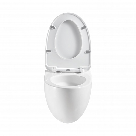 Подвесной унитаз безободковый Terminus Енисей Monolit 560х390 белый Ялта - фото 5 Подвесной унитаз безободковый Terminus Енисей Monolit 560х390 белый Ялта - фото 5