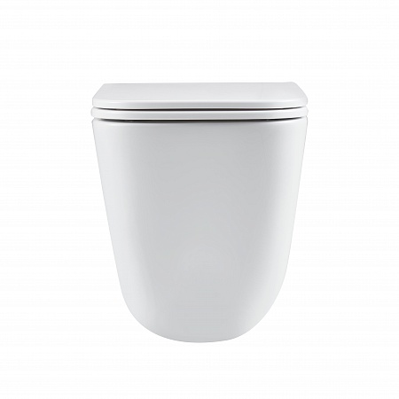 Подвесной унитаз безободковый Terminus Ватикан Monolit 490х340 белый Ялта - фото 6 Подвесной унитаз безободковый Terminus Ватикан Monolit 490х340 белый Ялта - фото 6