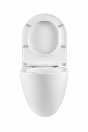 Подвесной унитаз безободковый Terminus Аврора Monolit 495х360 белый Ялта - фото 7 Подвесной унитаз безободковый Terminus Аврора Monolit 495х360 белый Ялта - фото 7