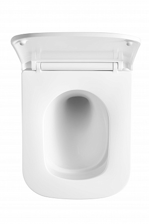 Подвесной унитаз безободковый Terminus Ватикан Monolit 490х340 белый Ялта - фото 3 Подвесной унитаз безободковый Terminus Ватикан Monolit 490х340 белый Ялта - фото 3